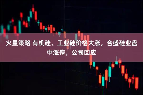 火星策略 有机硅、工业硅价格大涨,合盛硅业盘中涨停,公司回应